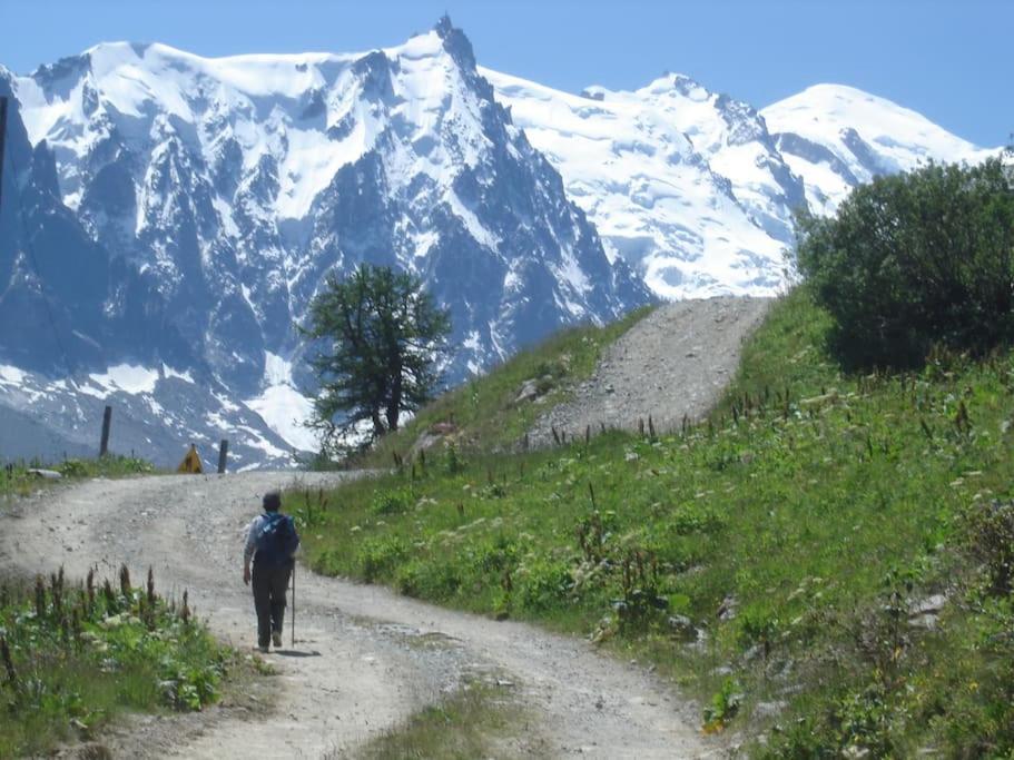 Appartement Au Pays Du Mont-Blanc Sallanches Extérieur photo